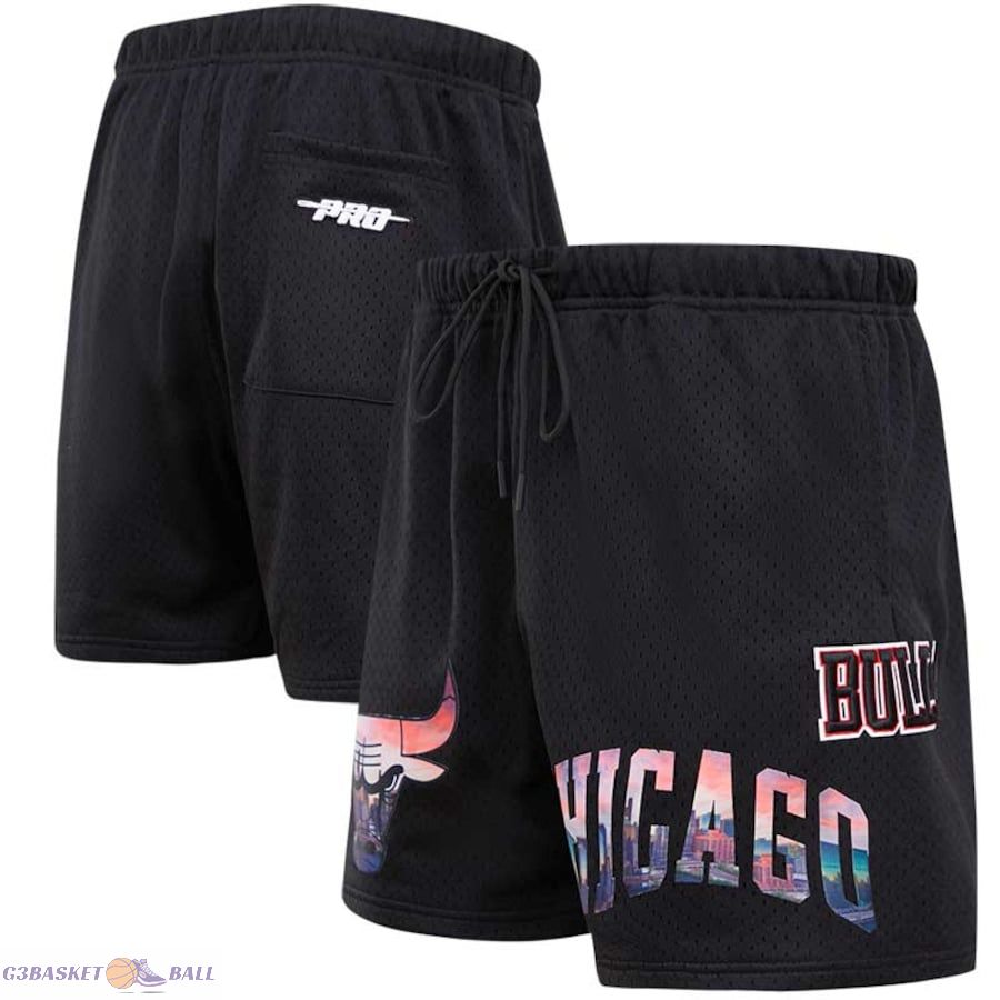 Men's Chicago Bulls Pro Standard Black City Scape Mesh Shorts